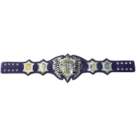 Jeff Hardy Enigmatic MMA Undisputed Championship Belt - 4 | Dash Racegear