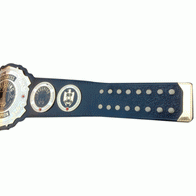 Progress Wrestling Unified World Championship Belt - 3 | Dash Racegear