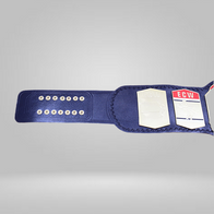 1st ECW Tag Team Wrestling Championship Replica Belt - image 2 | DASH RACEGEAR