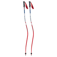 Swix WC Pro Carbon Ski Pole - image 2