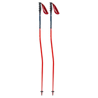 Swix WC Pro Aluminum Ski Pole - image 3