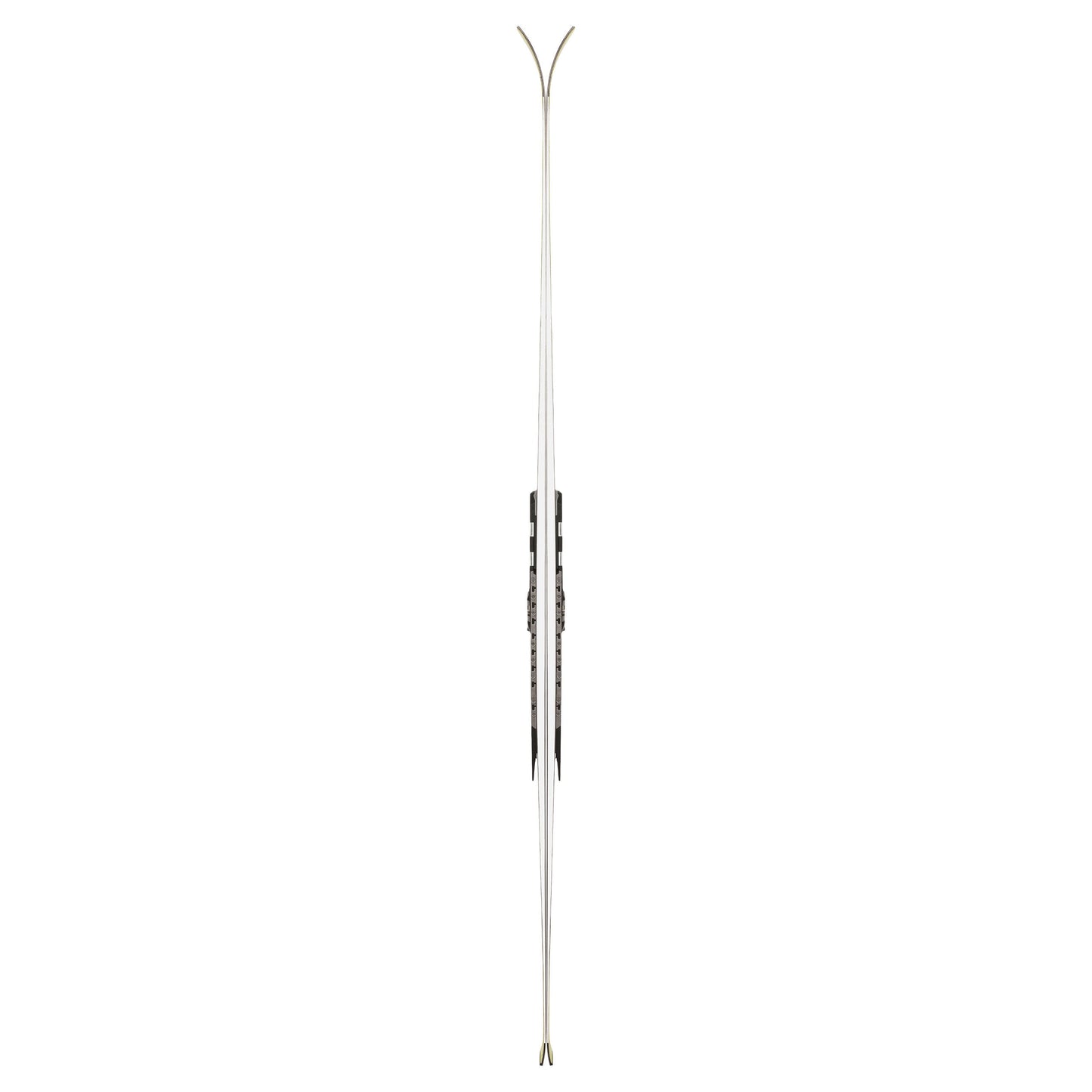 2027 Volkl Racetiger Racestock GS Skis - image 7