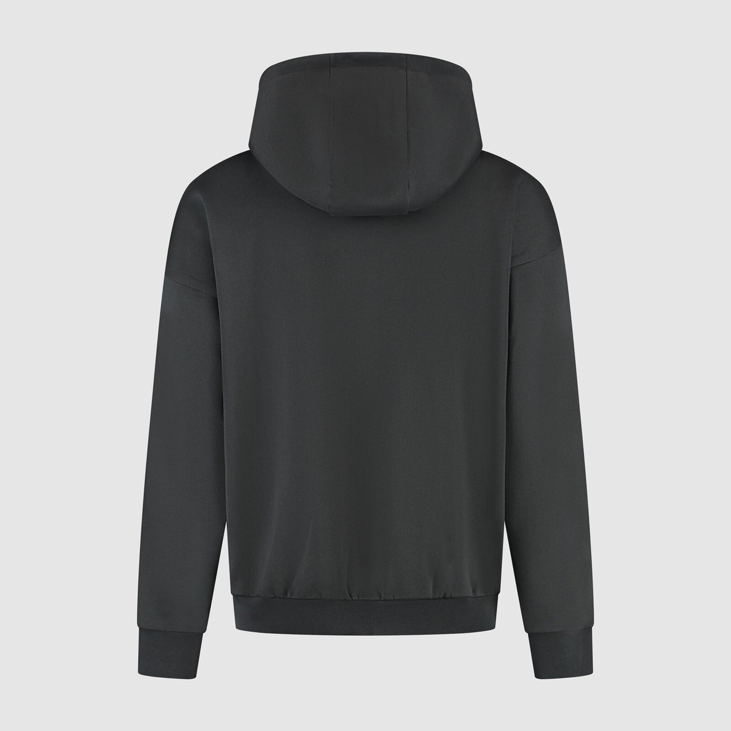 F1 FW HERITAGE GRAPHIC HOODY - black