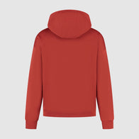 F1 FW HERITAGE GRAPHIC HOODY - red