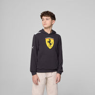 SF FW KIDS LARGE SHIELD HOODY - black