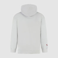 SF FW GRAPHIC HOODY - grey