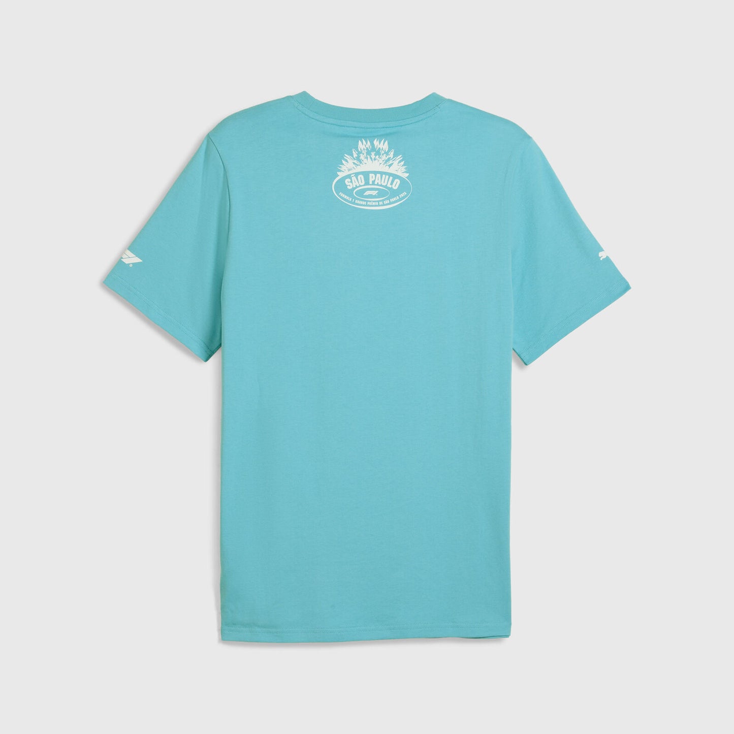 F1 FW SE BRAZIL TEE - blue