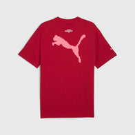 SF LS MIAMI GRAPHIC TEE II - tibetan red
