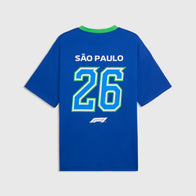 F1 LS Brazil Jersey - blue / green