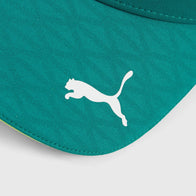 AMF1 RP Team BB Cap - green