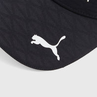 AMF1 RP Team BB Cap - black