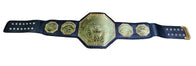 AAA Mega Campeon Mexico Wrestling Championship Inspired Title - 7 | Dash Racegear