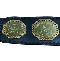 AAA Mega Campeon Mexico Wrestling Championship Inspired Title - 4 | Dash Racegear