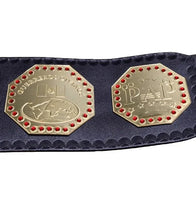AAA Mega Campeon Mexico Wrestling Championship Inspired Title - 5 | Dash Racegear