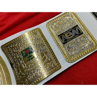 AEW TNT Championship Inspired Title Belt - 4 | Dash Racegear
