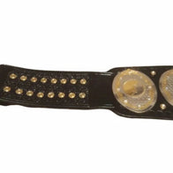 AEW Women's World Championship Inspired Title Belt - 4 | Dash Racegear
