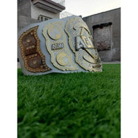 AEW World Wrestling Championship Inspired Title Belt - 3 | Dash Racegear