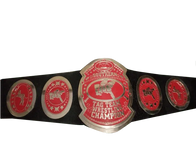 AWA Southern Tag Team Wrestling Championship Title Belt - 3 | Dash Racegear