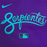 Arizona Diamondbacks Nike Purple 2025 City Connect Hoodie Hoodie unisex detail view 4 | Dash Racegear — Arizona Diamondbacks 2025 Nike Hoodie – City Connect Purple Design