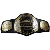 MMA Art of Champion Fighting Championship Belt - 1 | Dash Racegear