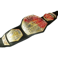 MMA Art of Champion Fighting Championship Belt - 2 | Dash Racegear