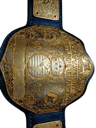 Big Gold Championship Belt - 9 | Dash Racegear