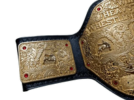 Big Gold Championship Belt - 8 | Dash Racegear