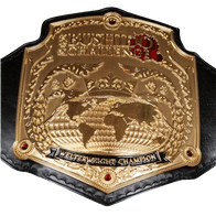 The Bushido Challenge Wrestling's Welterweight Championship Title Belt - 2 | Dash Racegear