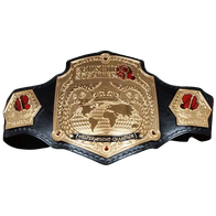 The Bushido Challenge Wrestling's Welterweight Championship Title Belt - 1 | Dash Racegear