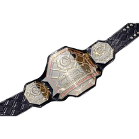 Cage Warriors Fighting USA Championship belt - 1 | Dash Racegear