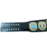CMLL World Heavyweight Championship Belt - 2 | Dash Racegear