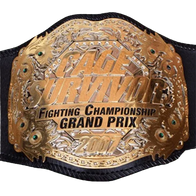 MMA Cage Survivor 2007 Championship belt - 2 | Dash Racegear