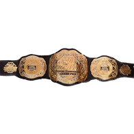 MMA Cage Survivor 2007 Championship belt - 1 | Dash Racegear