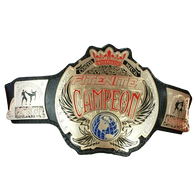 Fite Nite Costa Rica National Title Champion belt - 2 | Dash Racegear