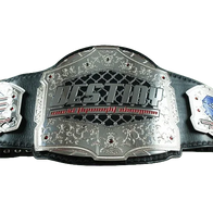 Destiny MMA Championship Belt - 1 | Dash Racegear