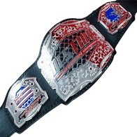 Destiny MMA Championship Belt - 2 | Dash Racegear
