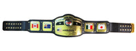 Domed Globe NWA World Heavyweight Wrestling Championship Belt - 3 | Dash Racegear