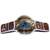 Dragon MMA World Championship Belt - 1 | Dash Racegear