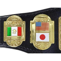 ECW World Heavyweight Championship Inspired Title Belt - 5 | Dash Racegear