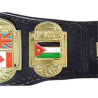 ECW World Heavyweight Championship Inspired Title Belt - 6 | Dash Racegear