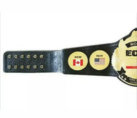 ECW Television Champion Championship Inspired Title Belt - 4 | Dash Racegear