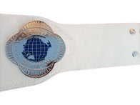 FMW Independent World Junior Heavyweight Championship Belt - 2 | Dash Racegear