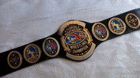 Florida Heavyweight Wrestling Championship Leather Title Belt - 2 | Dash Racegear