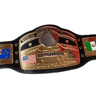 Worlds Heavy Weight Championship belt with Block Logo - 2 | Dash Racegear