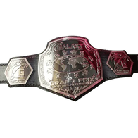 Galaxy Grand Prix Lightweight Championship Belt - 2 | Dash Racegear