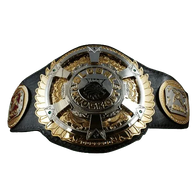Global Knock Outs MMA Championship Belt - 1 | Dash Racegear