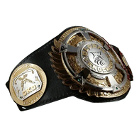 Global Knock Outs MMA Championship Belt - 2 | Dash Racegear