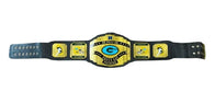 Green Bay Packers NFL Championship Wrestling Belt - 5 | Dash Racegear