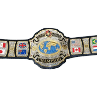 Hook N Shoot MMA World Championship Belt - 2 | Dash Racegear