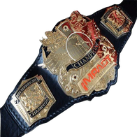 Legends of MMA Hall of Fame Belt - 1 | Dash Racegear